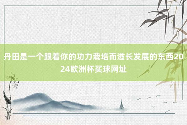 丹田是一个跟着你的功力栽培而滋长发展的东西2024欧洲杯买球网址