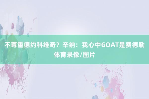 不尊重德约科维奇？辛纳：我心中GOAT是费德勒体育录像/图片